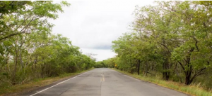 Green Corridor