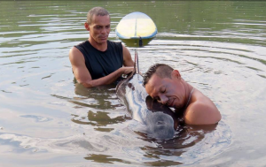 Surfers Rescue Whale