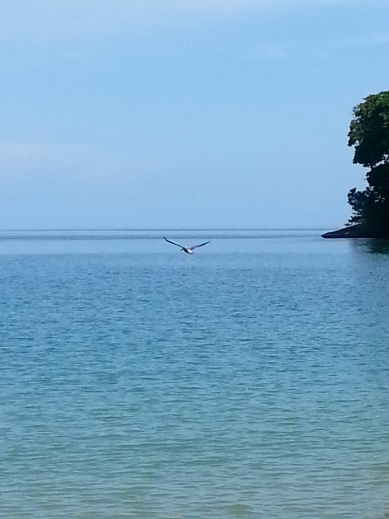 Punta Uva Beach