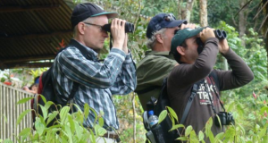 U.K. Birdwatchers