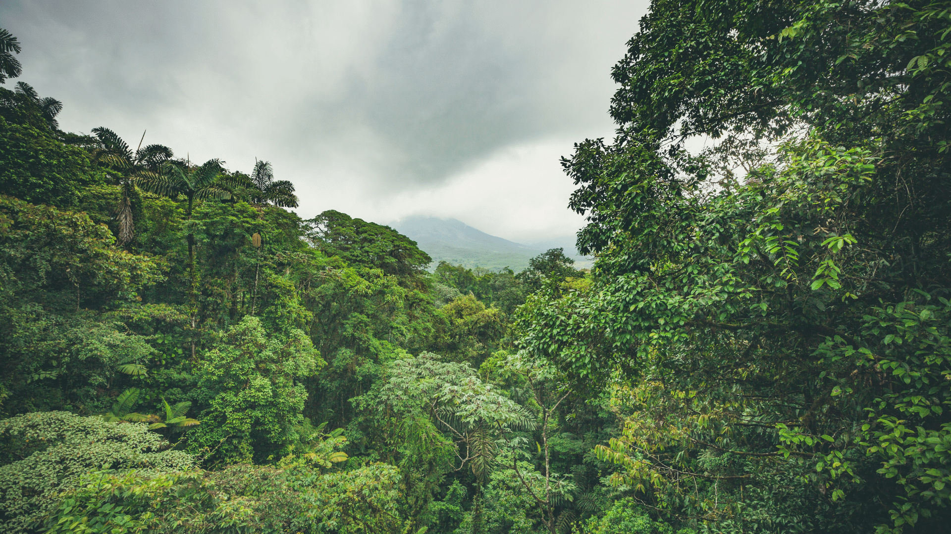 Arenal Volcano and Rainforest, Costa Rica